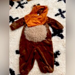 Star Wars bear costume